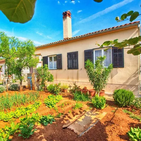 Apartment Fuer 4 Personen Ca 35 Qm In Pula-fondole, Istrien Istrische Riviera *